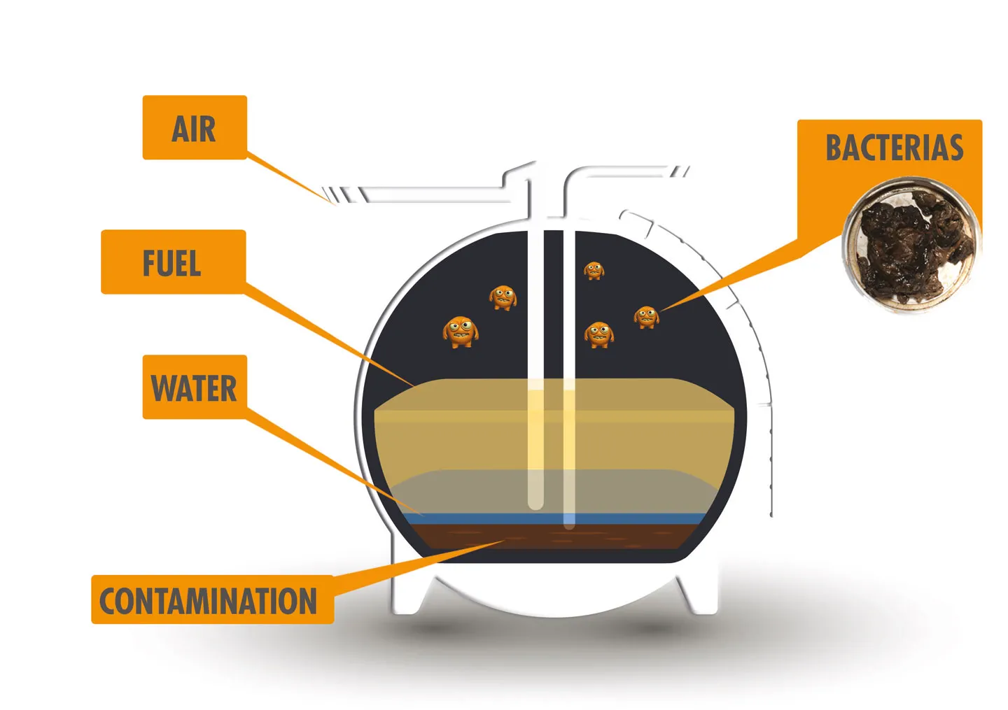 Bacteria In Fuel Systems image
