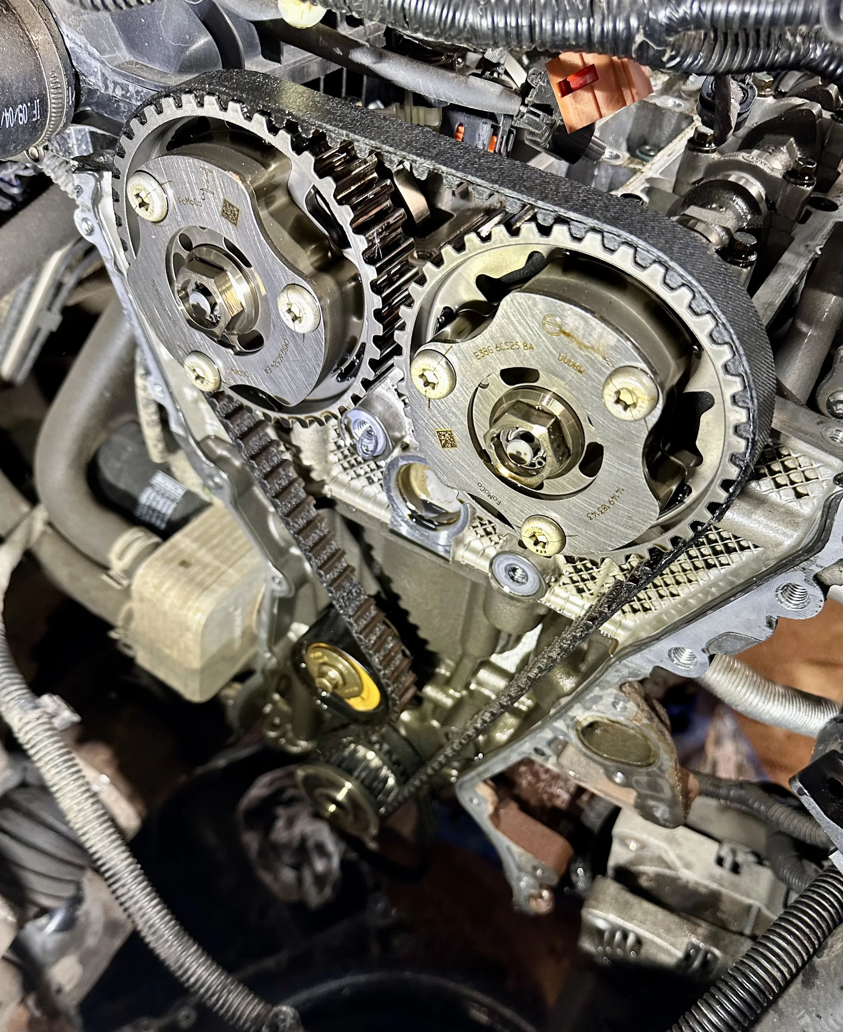 Wet belts and engine flush image