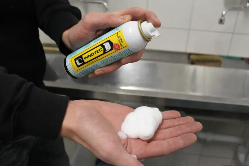 Hand Protector (New Formula) image 2